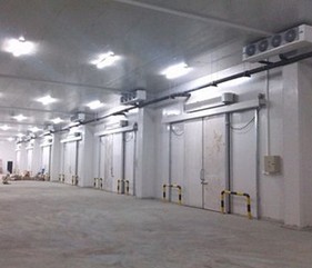 闈掑矝鍐峰簱瀹夎璁捐鍏徃